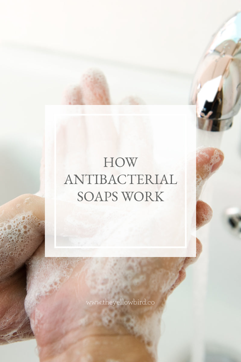 How Antibacterial Soaps Work - The Yellow Bird