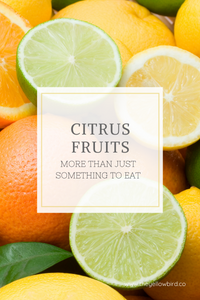 Citrus Fruits: Juicy, Sweet, and More Than Just Something to Eat - The ...