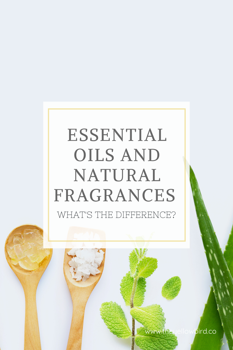 Essential Oils vs. Fragrance Oils: What Are the Differences?